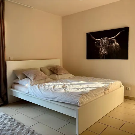 Apartment Runway In Regensburg