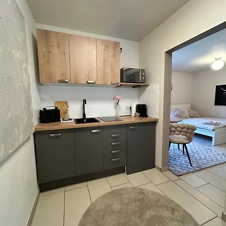 Runway In Appartement